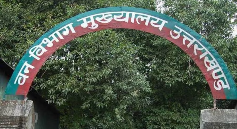 उत्तराखंड: वन विभाग में पौधरोपण का 'भ्रष्टाचारी' खेल, 10 रुपये