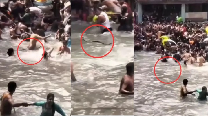 मसूरी केम्पटी फॉल में नहा रहे लोगों के बीच सांप