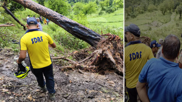 A tragic accident in Tehri, Uttarakhand, a tree fell on children returning from school; two died