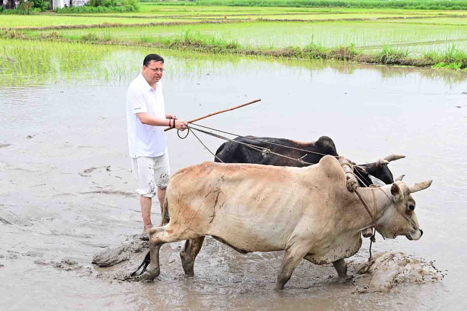 Photo of pioneeradmin