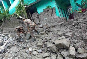 Photo of pioneeradmin