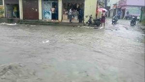 Photo of pioneeradmin