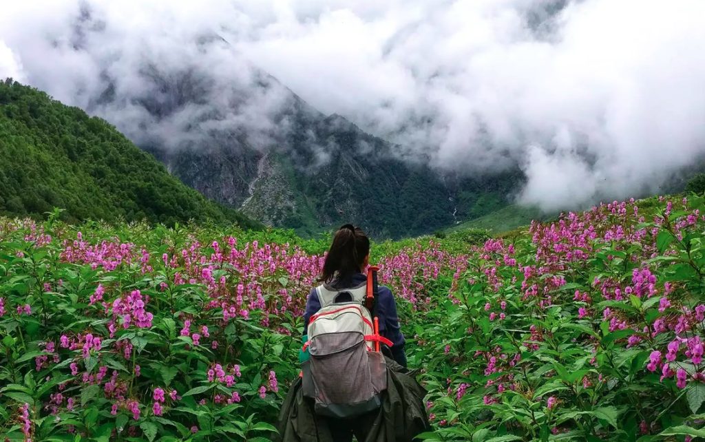 फूलों की घाटी में इस बार घटे भारतीय पर्यटक, राजस्व पर पड़ा असर