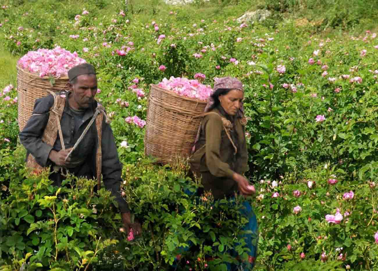 Photo of pioneeradmin