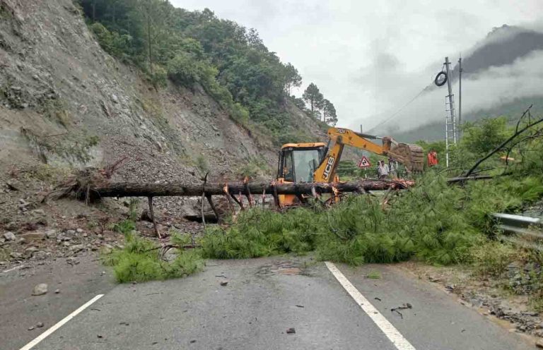 Photo of pioneeradmin