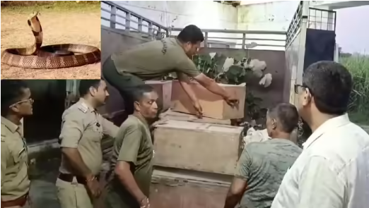 उत्तराखंड में दीपावली को लेकर जारी हुआ दिशानिर्देश, यहां जाने