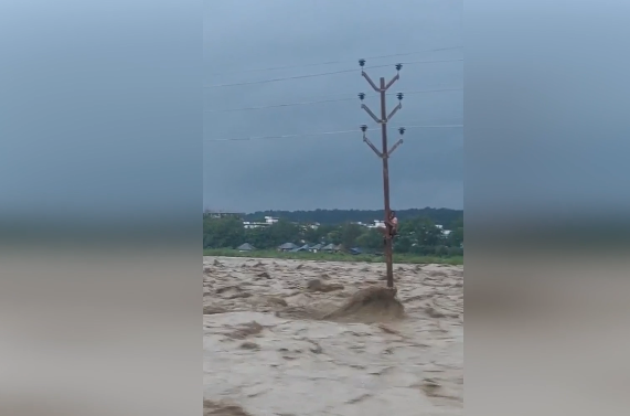 डूबते को तिनके का सहारा, सैलाब में टहनी पकड़कर दूर