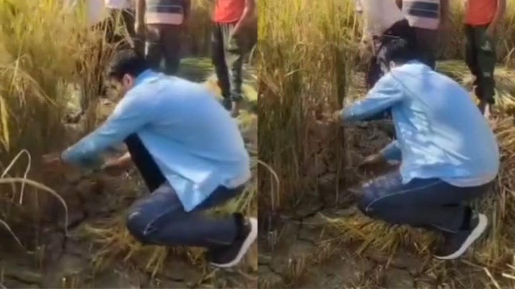 देहरादून के DM सविन बंसल खुद उतरे खेत में, किसानों संग काटी धान की फसल, देखें वीडियो