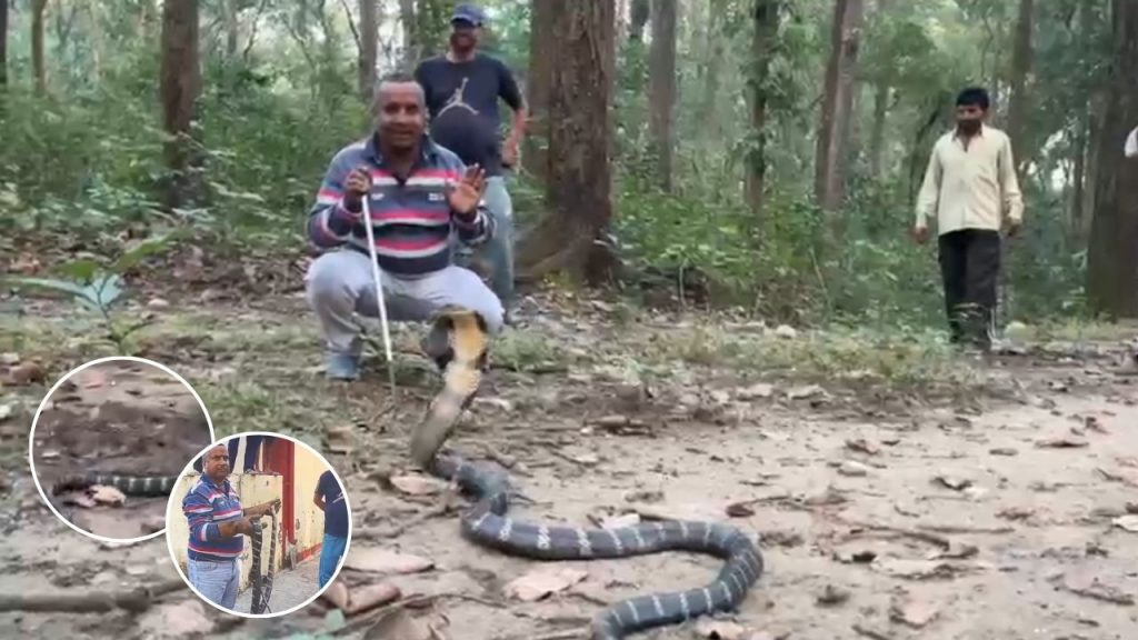 देहरादून में दिखा विशाल सांप, विशेषज्ञ ने किया चौंकाने वाला काम, पढ़िए पूरा किस्सा