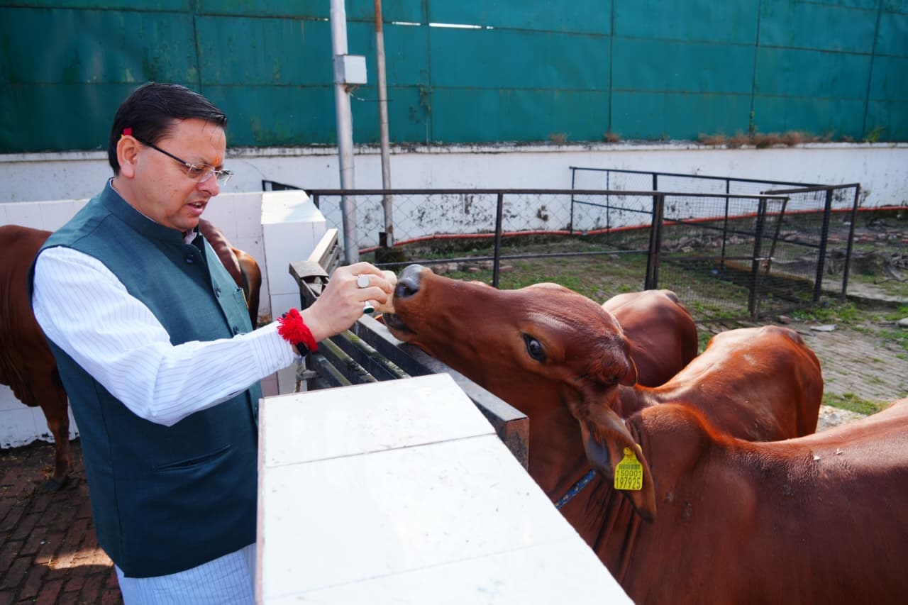 CM performs Govardhan Puja, calls for collective commitment to cow