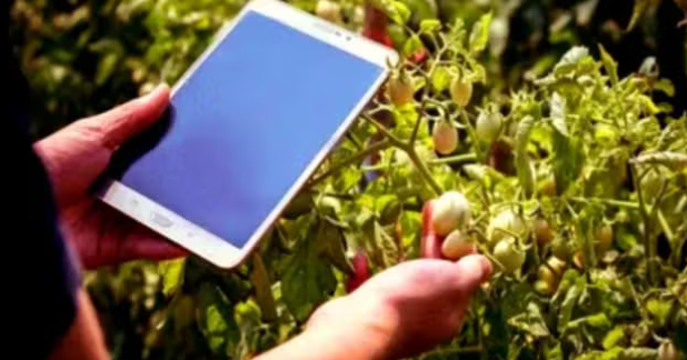 Crop Survey: अब उत्तराखंड में भी होगा डिजिटल क्रॉप सर्वे,