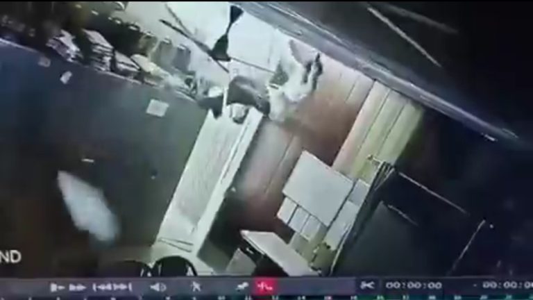 अजब-गजब : दून में सरकारी ऑफिस में छत तोड़कर घुसा