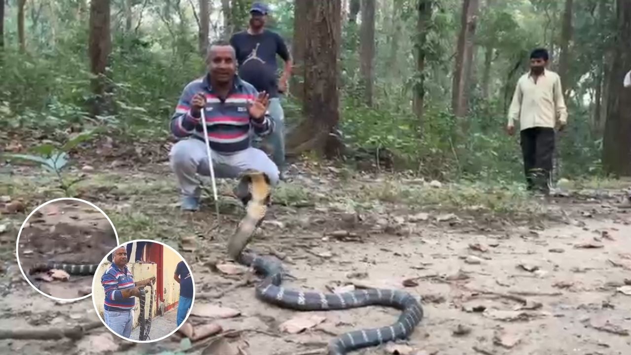 देहरादून में दिखा विशाल सांप, विशेषज्ञ ने किया चौंकाने वाला काम, पढ़िए पूरा किस्सा