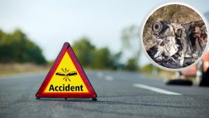 भैयादूज पर लौटते वक्त हुआ दर्दनाक हादसा, खाई में गिरी