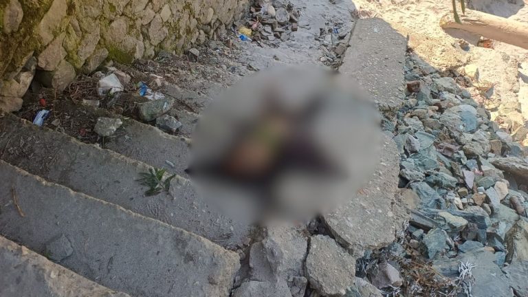 रुद्रप्रयाग में रहस्यमयी मौत; नगर पालिका की सीढ़ियों पर मिला अज्ञात शव, जांच में जुटी पुलिस