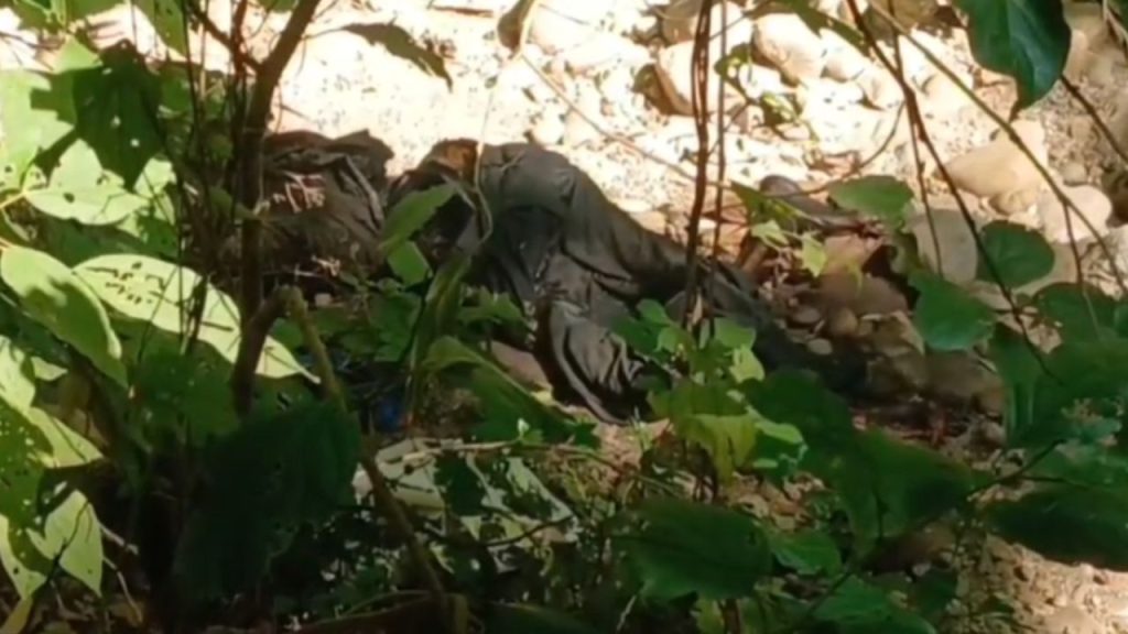 रामनगर जंगल में मिला बुजुर्ग का शव, परिवार में फैली चिंता और दहशत, जानें क्या है मामला