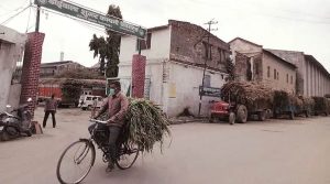 Crushing season at Doiwala Sugar Mill begins with target of