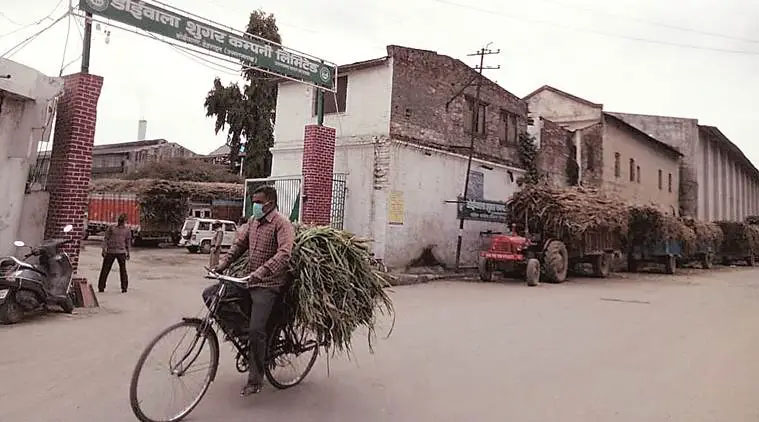 Crushing season at Doiwala Sugar Mill begins with target of