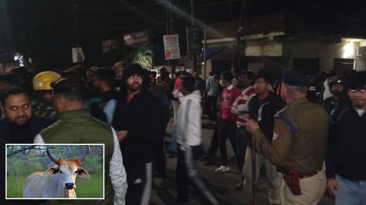 Haldwani News: हल्द्वानी में गोवंश का सिर मिलने से तनाव, वायरल वीडियो ने गांव में मचाया हड़कंप