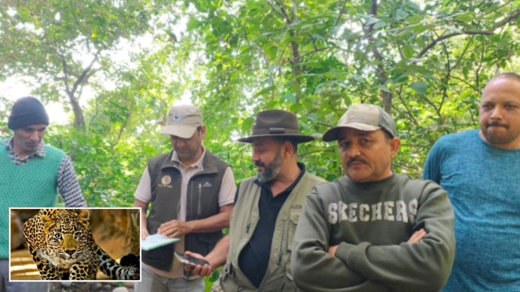 Ramnagar News: वन अधिकारियों को मिला गुलदार का शव, सभी अंग सुरक्षित; जांच जारी