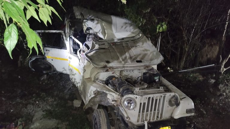 गौरीकुंड हाईवे पर मैक्स पलटी — दो की मौत, छह