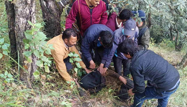 जंगल में घास लेने गई महिला पर भालू का हमला,