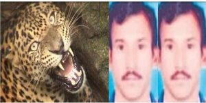 जंगल में मिला दो दिन से लापता ग्रामीण का शव,