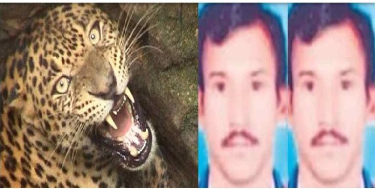 जंगल में मिला दो दिन से लापता ग्रामीण का शव,