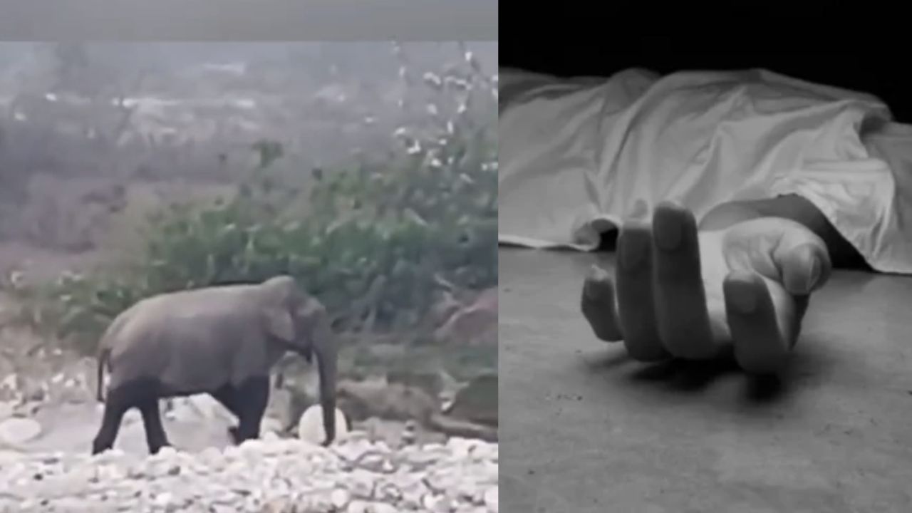 जॉली ग्रांट में अचानक हुई हलचल… मिनटों में बदला रास्ते का पूरा मंजर, जानें ऐसा क्या हुआ