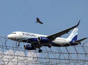जॉलीग्रांट एयरपोर्ट पर इंडिगो विमान की पक्षी से टक्कर, विमान