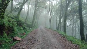 नैनीताल क्षेत्र में सड़क निर्माण का काम तेज, विधायक ने CM Dhami को किया धन्यवाद