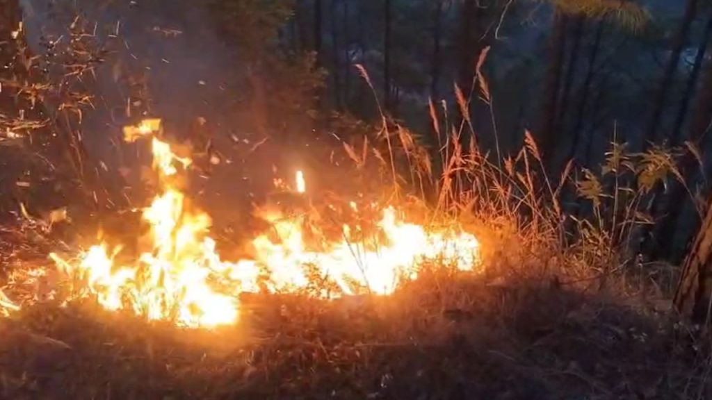 पहाड़ के जंगल पूस-दिसंबर में धू-धू कर जल, वन विभाग ने बताई मामूली आग; लाखों की वन संपदा राख