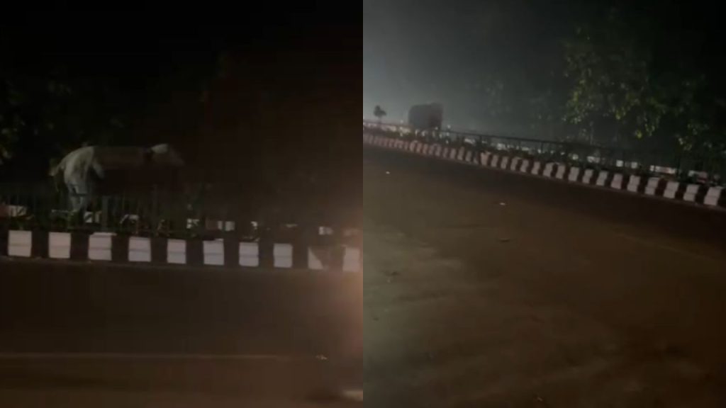 बीच सड़क पर हाथी की सैर, जॉली ग्रांट-ऋषिकेश मार्ग पर अचानक लोगों ने क्यों रोकी गाड़ियां?