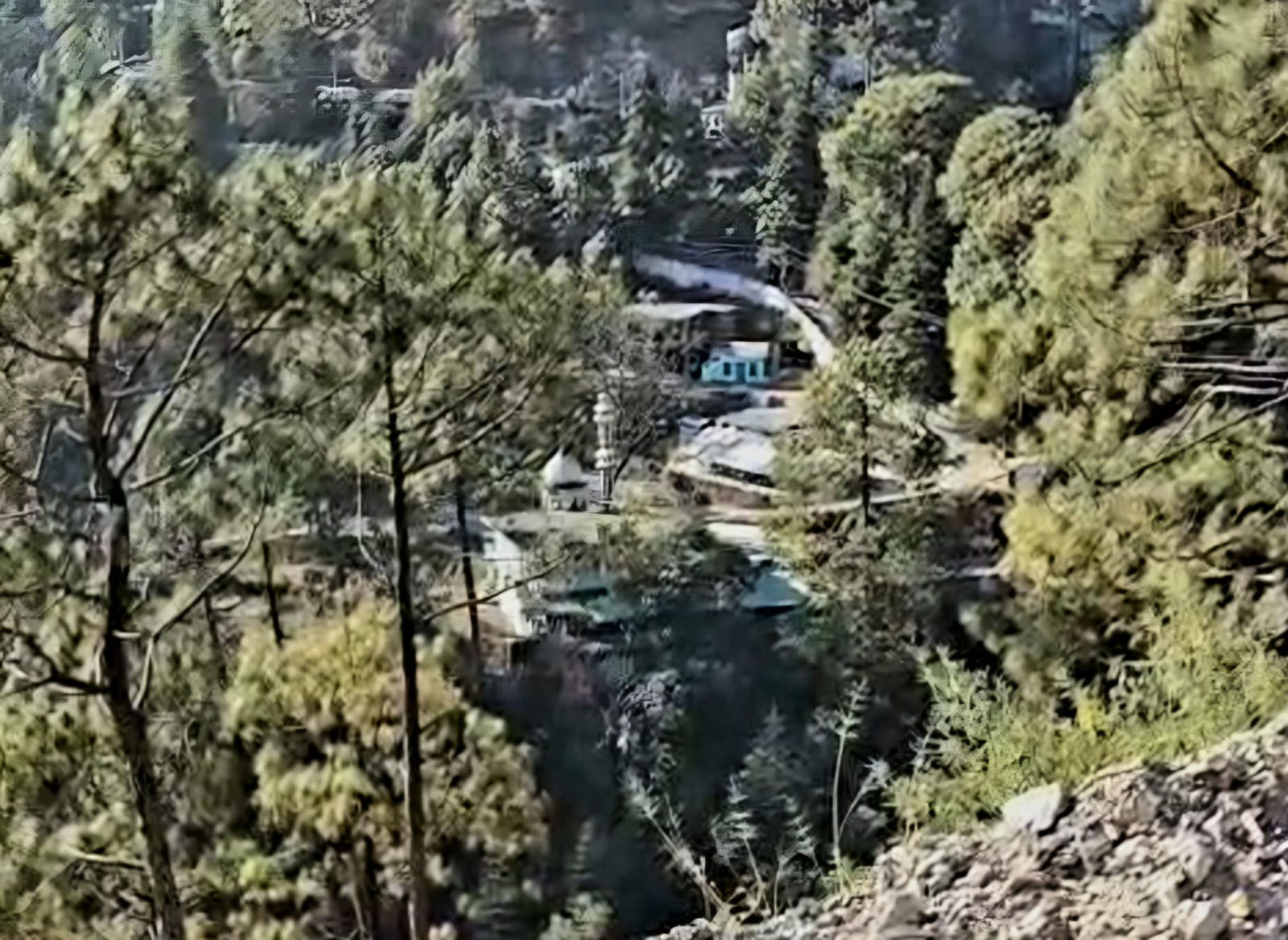 Allegations of encroachment on forest land by mosque in Bhowali