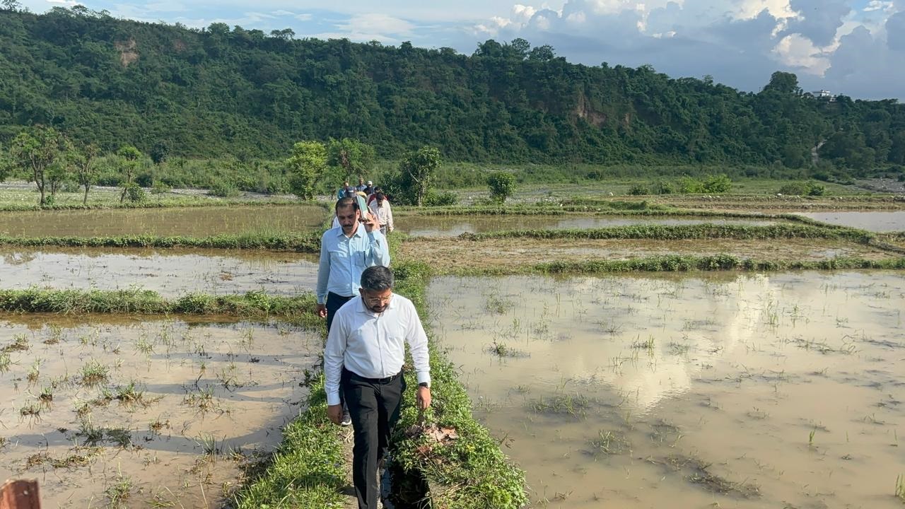Efforts of Distt Admin help revival of Doon Basmati