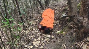 Nainital News: तेंदुए का बढ़ता कहर, घर के पास महिला पर हमला, पूरे क्षेत्र में दहशत