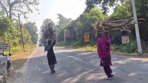 Nainital: सर्दियों में वन्यजीव आक्रामक, कॉर्बेट प्रशासन ने ग्रामीणों को जंगल जाने से रोका