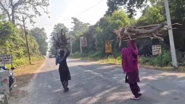 Nainital: सर्दियों में वन्यजीव आक्रामक, कॉर्बेट प्रशासन ने ग्रामीणों को जंगल जाने से रोका