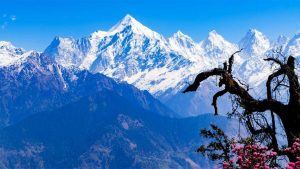 Uttarakhand Weather Update: मैदानी इलाकों में घना कोहरा, पहाड़ों पर धूप लेकिन रातें सर्द