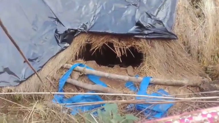 Uttarakhand: चमोली में भालू का आतंक, गौशाला फाड़ बकरियों को बनाया निवाला