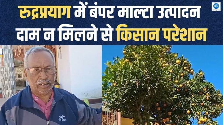 Video: रुद्रप्रयाग में माल्टा की फसल हुई शानदार, लेकिन किसानों