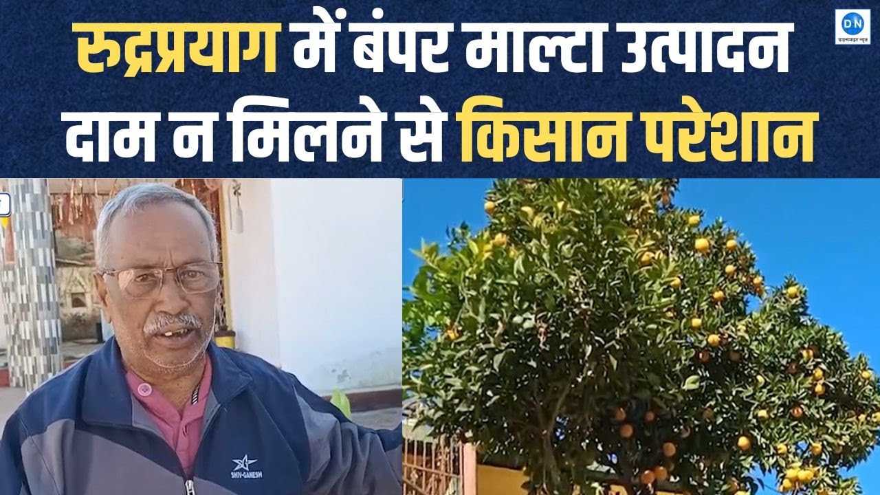 Video: रुद्रप्रयाग में माल्टा की फसल हुई शानदार, लेकिन किसानों