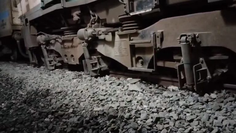 असम में दुखद हादसा: राजधानी एक्सप्रेस से टकराकर सात जंगली