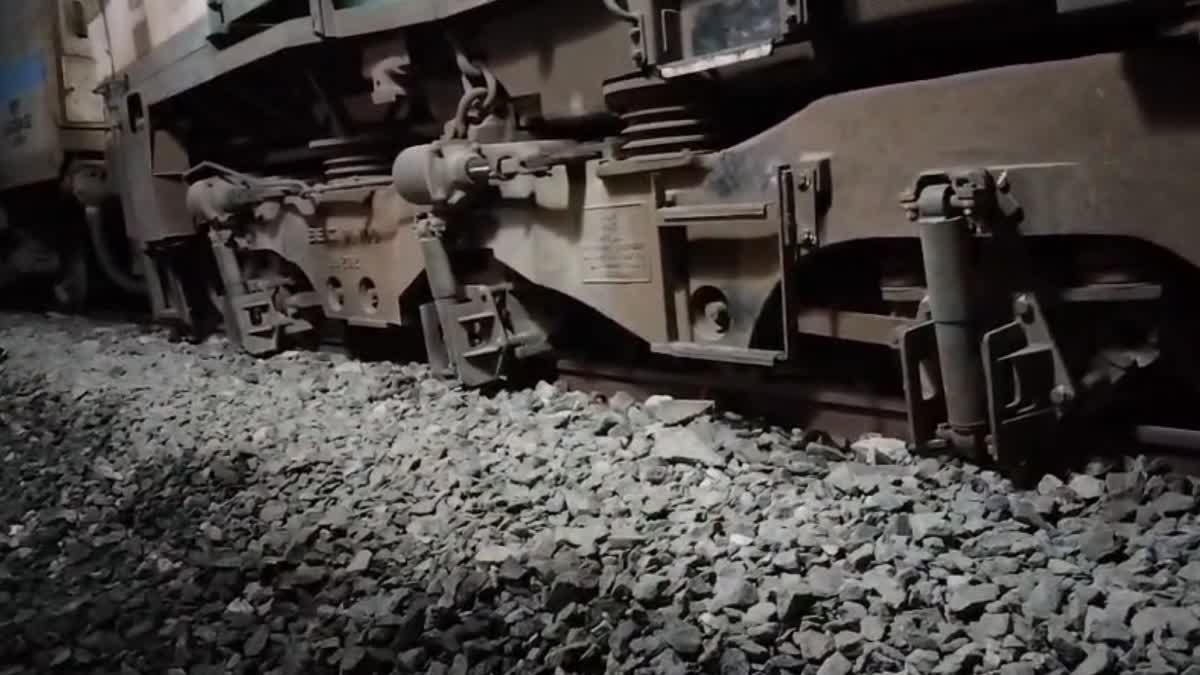 असम में दुखद हादसा: राजधानी एक्सप्रेस से टकराकर सात जंगली