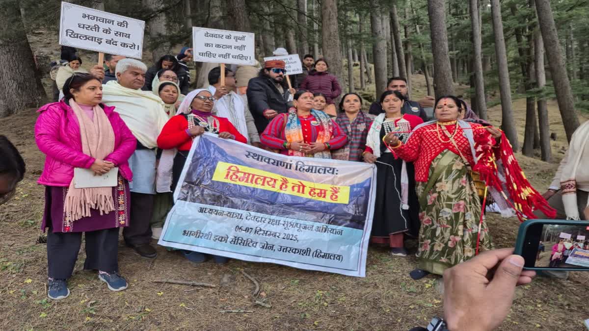 उत्तरकाशी गंगोत्री हाईवे पर अब नहीं कटेंगे 6 हजार पेड़,