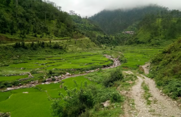 उत्तराखंड में आज पहाड़ से लेकर मैदान शीतलहर बरपाएगी कहर,