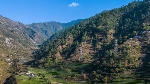 उत्तराखंड में ठंड का कहर: पहाड़ों में पाला, मैदानी इलाकों में घना कोहरा, IMD का ऑरेंज अलर्ट