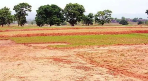 उत्तराखंड वासियों के लिए खुशखबरी, भूमि के बदले भूमि नहीं