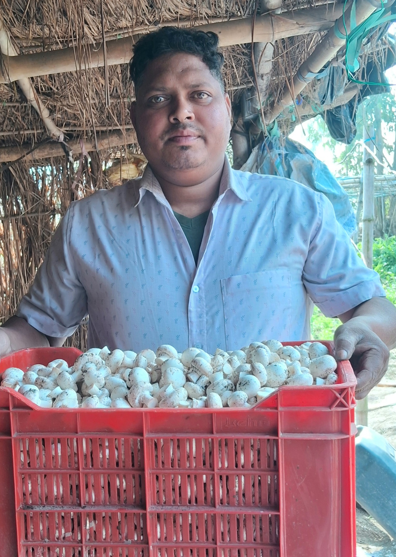 उधम सिंह नगर के अखिलेश बने मशरूम बॉय, थोड़ी खेती