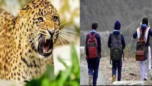 गुलदार के आतंक से भीमताल क्षेत्र के स्कूल एक सप्ताह